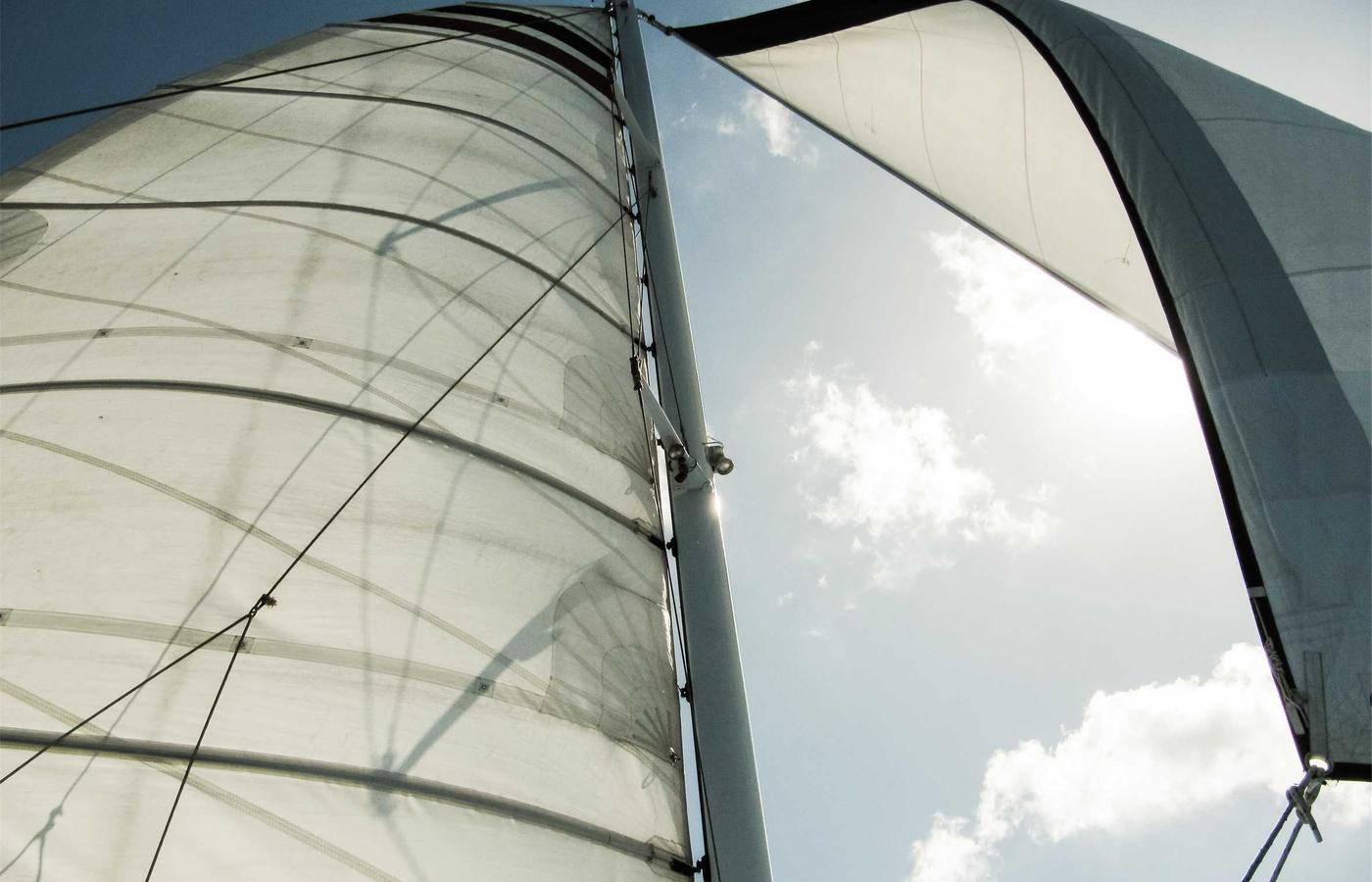 Porträt von Dr. Markus Weber